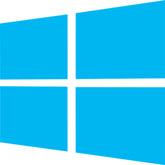 Windows 11 Upgrade Check (Non-EU)